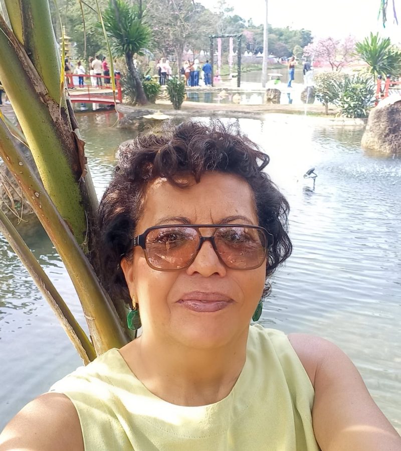 Festa da Cerejeira - Garça (11)