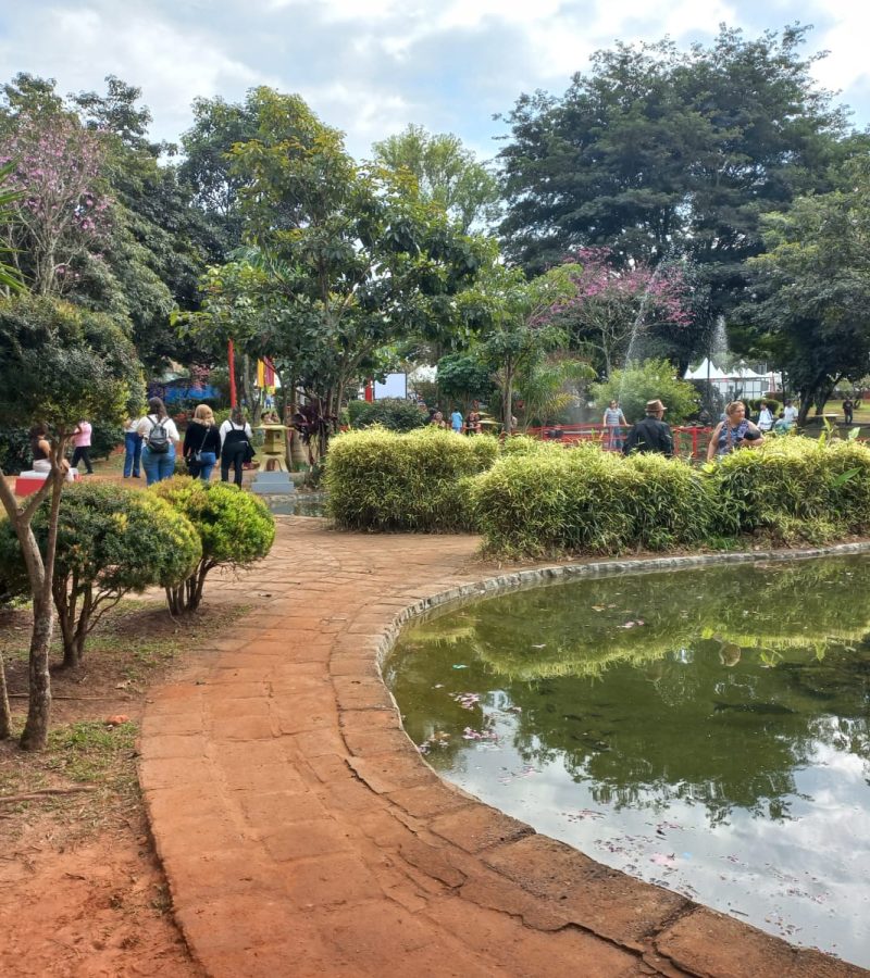 Festa da Cerejeira - Garça (16)