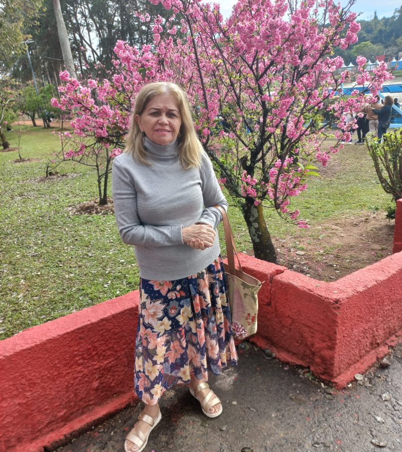 Festa da Cerejeira - Garça (17)
