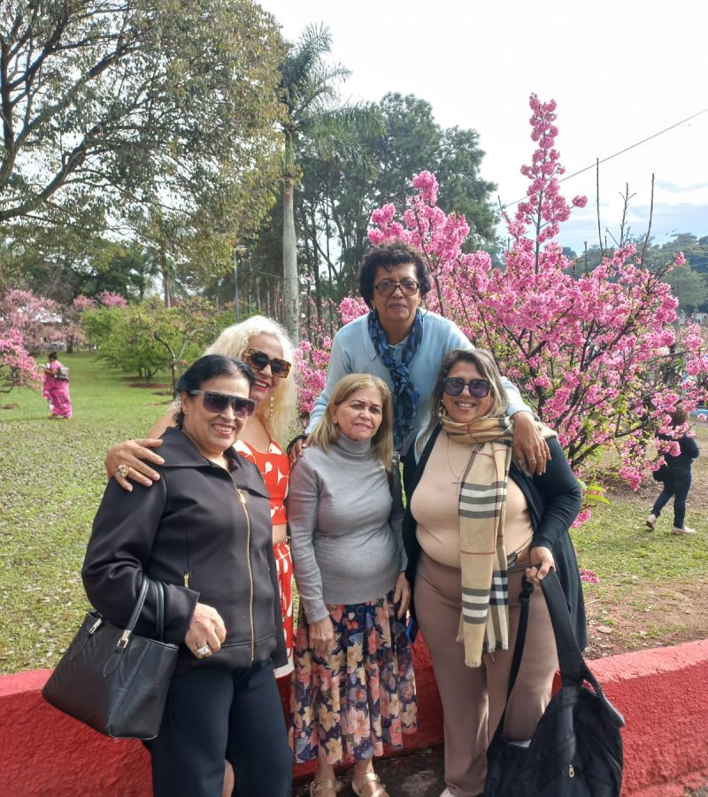Festa da Cerejeira - Garça (18)