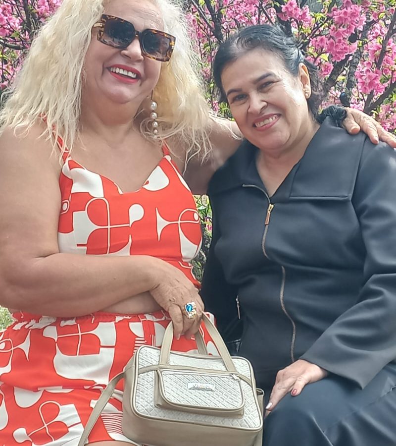 Festa da Cerejeira - Garça (19)