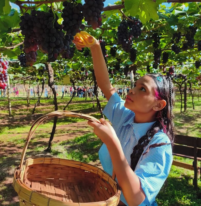 Turismo Rural - Urânia (18)